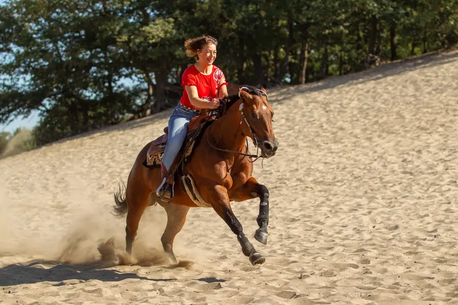 Ruiter op een paard in het zand