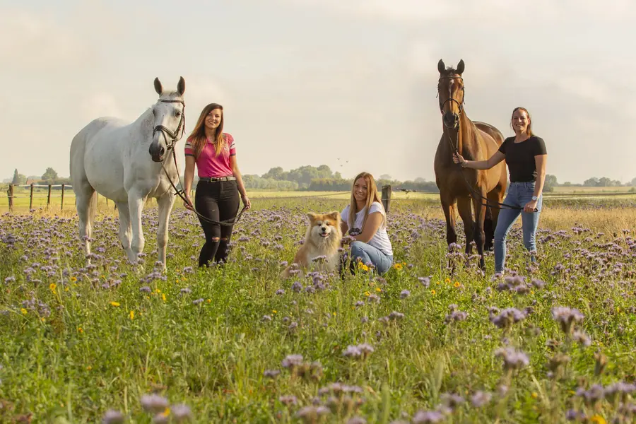 Twee vrouwen met paarden in een veld