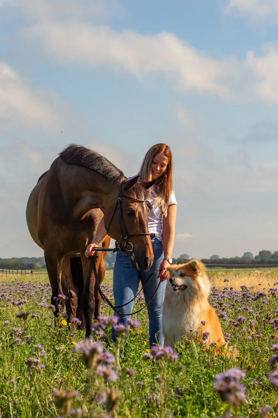 Vrouw met paard en hond in een bloemenveld
